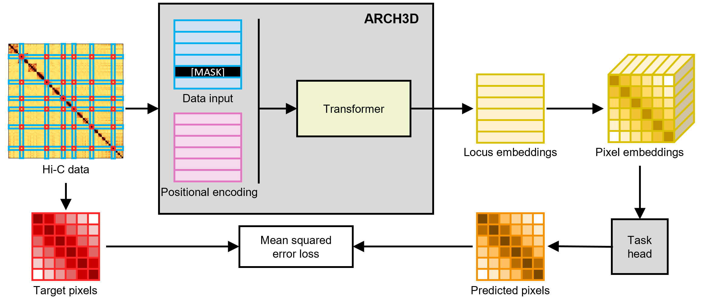 A schematic of of the novel masked locus modeling task used to train ARCH3D.